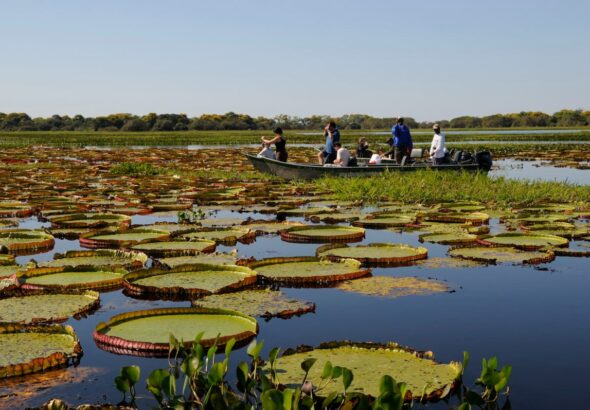MS Mato Grosso _crédito FundturMS