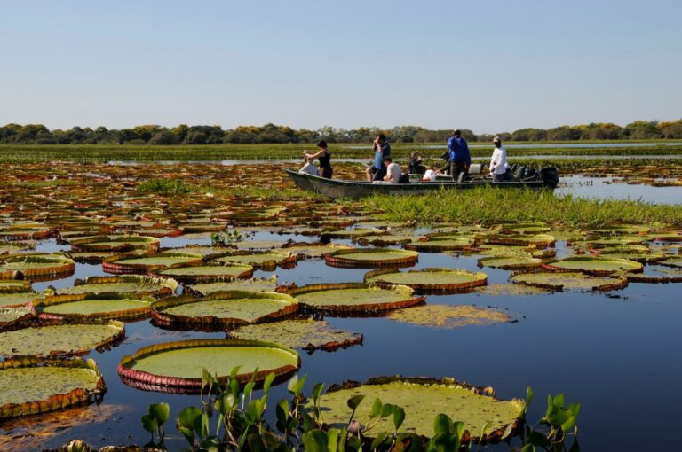 MS Mato Grosso _crédito FundturMS